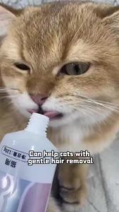 【Buy 4 get 1 free】Clear  Nutrition Supplement Hairball Solution Gel for Cat (120g) Cat Vitamin Cat Nutrition Cream