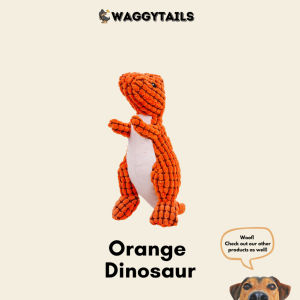 [SG] Pet Squeaky Toy    Plush Rope Dog Toy    Tug Chew Fetch