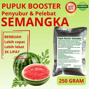 Pupuk Booster Semangka / Obat Booster Semangka / Pupuk Booster Semangka / Pupuk Semangka