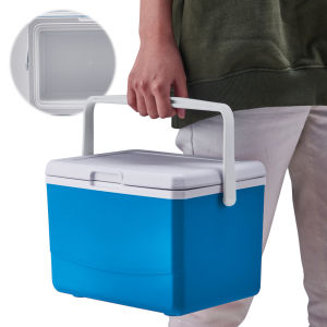 【New Arrival】 Lightweight 5L Insulated Cooler with Handle for Beach and Camping Portable Mini Freezer Fridge for Outdoor Use