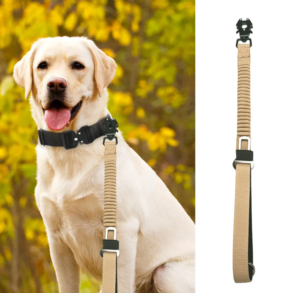 gu99 Dog Leash with Cushioning Elastic Rope Dog Leash 25 Heavy Duty Bungee  Dog Leash with Shock Absorbing Elastic Rope for Medium Large Dogs Ideal for 