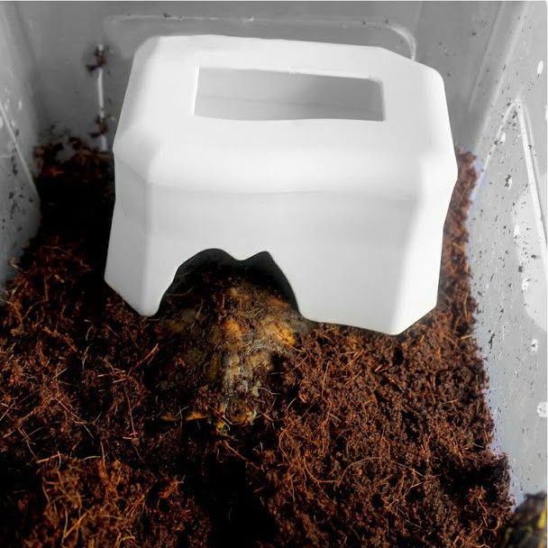 Hang%20tr%C3%BA%20%E1%BA%A9n%20cho%20b%C3%B2%20s%C3%A1t%20nh%E1%BB%87n%20b%E1%BB%8D%20c%E1%BA%A1p%20r%E1%BA%BFt%20c%C3%B3%20khay%20%C4%91%E1%BB%B1ng%20n%C6%B0%E1%BB%9Bc%20v%C3%A0%20gi%E1%BB%AF%20%E1%BA%A9m%20-%20Image%209