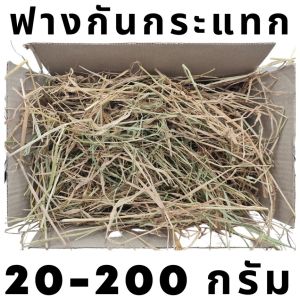 ฟาง ฟางก้อน ฟางข้าว ฟางแห้ง ฟางข้าวอัดก้อน ส่งจากนครปฐม ราคาหน้าไร่มาเอง ไม่เก่า อัดใหม่ไม่ขึ้นรา