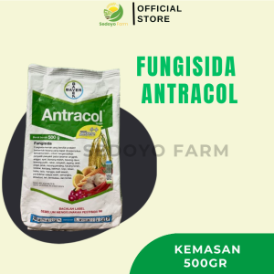 Antracol 70 WP Fungisida Kemasan 500gr