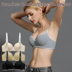 Seamless Small Breasts Underwear: A Comprehensive Guide