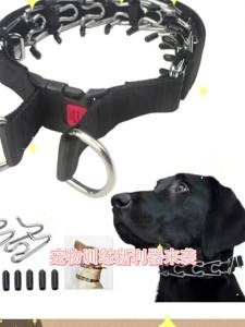 Black Dog Training Collar with Velcro Strap DetachableCollar