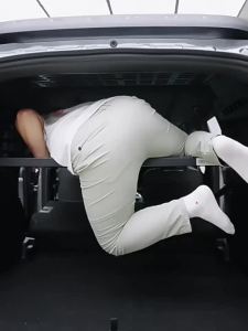 sapid For Changan DEEPAL G318 2025 2026 Molle Panel Modular Storage Side Roof Panel Modification Rear Trunk Debris Rack CargoOrganizer N6Y3P