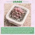 (50g / 250g) Dinotefuran Pesticide Garden Insecticide Kill Scale Insect/Aphids/Whitefly 小白药 呋虫胺. 