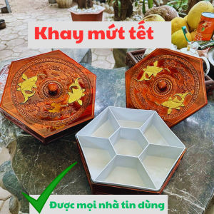 Hộp Đựng Mứt Tết Nhựa Giả Gỗ Khay Đựng Bánh Kẹo Cá Chép Vàng