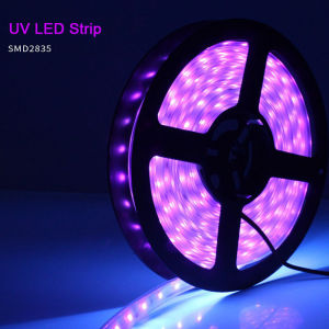 【SHARSUNILL】🔥ready stock 5m/10m/20m LED RGB Light Strip Colorful Waterproof LED Strip Light with Remote Control Light Strip For Room lampu led IP67 lampu hiasan/christmas decoration