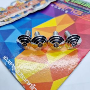 HENG Fender Bolts Set for Aerox/Nmax - 4 Pieces - Gold and Silver Finish - Motorcycle Accessories - Windshield Bolts