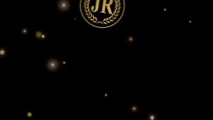 12 Pack Reflective Pinwheels for Yard and Garden Extra Sparkly Pinwheel Outdoor Decor Bird Devices Deterrent to Scare Birds Away from Patio Farm Pin Wheel Set for Courtyards and Balconies