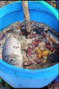 น้ำหมักปลา 5 ลิตร เข้มข้น ไม่ผสมน้ำ ธาตุอาหารพืชครบทั้งธาตุหลัก รอง และธาตุเสริม หมักด้วยจุลินทรีย์ BioSm