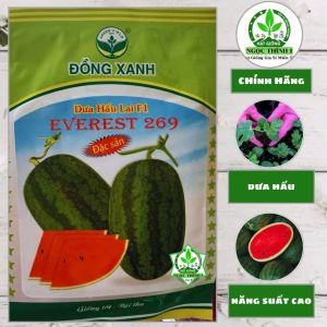 (Gói 20gr) Hạt Giống Dưa Hấu Lai F1 EVEREST 269 ĐỒNG XANH - Trái dài vỏ mỏng ruột đỏ đậm thịt chắc