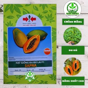 (GÓI 65 hạt) Hạt Giống Đu Đủ Lai F1 SAPNA HAI MŨI TÊN ĐỎ - Cây sinh trưởng khỏe ruột màu đỏ cam độ đường cao