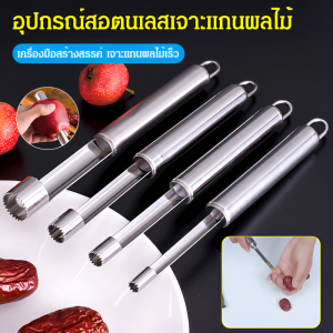 🍎ที่ปอกเปลือกแกนอเนกประสงค์! ที่ปอกเปลือกแกนทำจากสแตนเลส 304 ปอกเปลือกแกนออกจากผลฮอว์ธอร์น อินทผลัมแดง เชอร์รี่ และแอปเปิลได้ในคลิกเดียว
