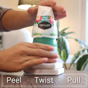 Renuzit รีนูซิต เจลหอมธรรมชาติ 98% เจลปรับอากาศ ขายดีอันดับ1 ในอเมริกา198 กรัม