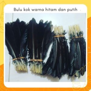 BULU SAYAP AYAM WARNA WARNI ISI 50 BIJI  - AKSESORIS KERAJINAN TANGAN BULU KARNAVAL DREAM CEATHER BISA COD BAYAR DITEMPAT KEDIRI JAWA TIMUR JATIM