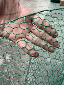 ( khổ cao 50cm - cuộn dài 15m) Lưới sắt mắt cáo màu Xanh Ô lục giác chất lượng làm chuồng nuôi gà vịt thú cưng