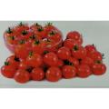 SEASON RED CHERRY TOMATO RETAIL PACK BY KNOWN YOU. 