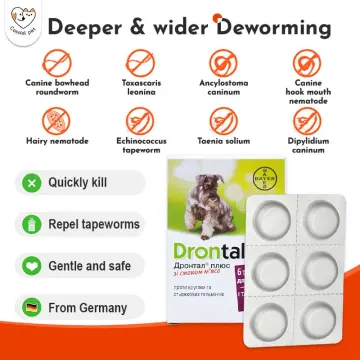 Drontal Plus 1 Tablet Tasty Dewormer Tablets for Dogs BAYER Lazada PH