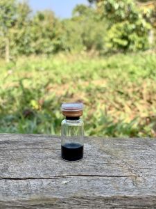 Thuoc ga da nhỏ gà đá GTR Tăng bo Tải cựa Chống ói nuôi gà tăng tốc độ xung mãn khả năng né tránh cự mạnh lên nước máu bóng lông cung cấp vitamin Nhập chính hãng mexico 1cc