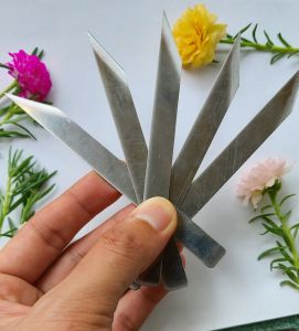 [Sét 5 Cái ] Freeship Dao Xẽ Tôm Cở Lớn Dao Xẽ Lưng Tôm Cở Lớn.