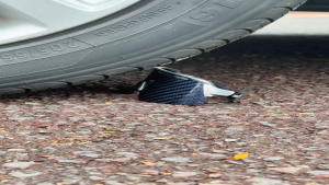 🔥Kính Xe Đạp KAPVOE "GOD OF WAR" - Chống UV400 Va Đập Sương Mù | Kính Thể Thao Đạp Xe Siêu Nhẹ - TK159-23