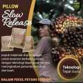 1 BOX PUPUK NEW BESFARM BEST FARM PILLLOW SLOW RELEASE PUPUK MAJEMUK MAKRO DAN MIKRO ORIGINAL. 