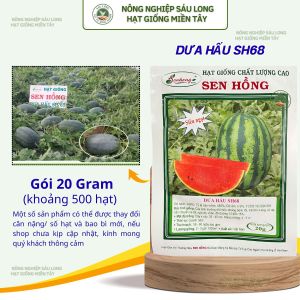 GÓI 500 HẠT GIỐNG SH68 - DƯA HẤU SỌC THÁI TRÁI NGỌT OVAL - HẠT GIỐNG SEN HỒNG cây sinh trưởng khỏe năng xuất cao.