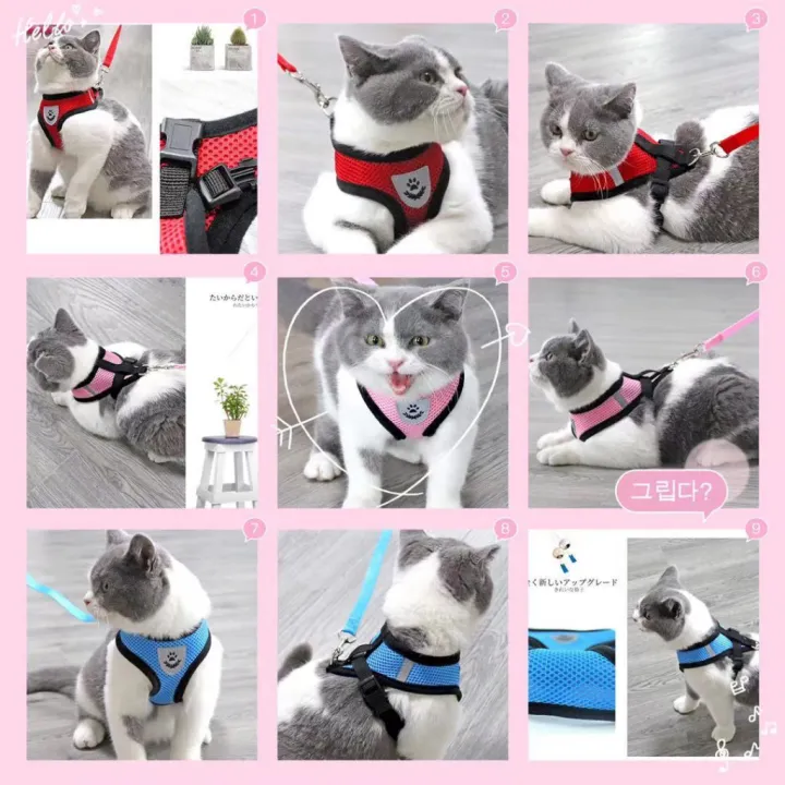 Adjustable%20Breathable%20Vest%20Style%20Pet%20Harness%20and%20Leash%20Set%20Comfort%20Wearable%20Outdoor%20Walking%20Traction%20Kit%20Flexible%20Size%20Fits%20Puppy%20Dog%20Cat%20Safe%20Sturdy%20Daily%20Outdoor%20Travel%20Walking%20Training%20Accessories%20-%20Image%207
