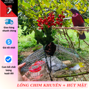 Lồng bẫy chim khuyên hút mất Inox tặng kèm phụ kiện