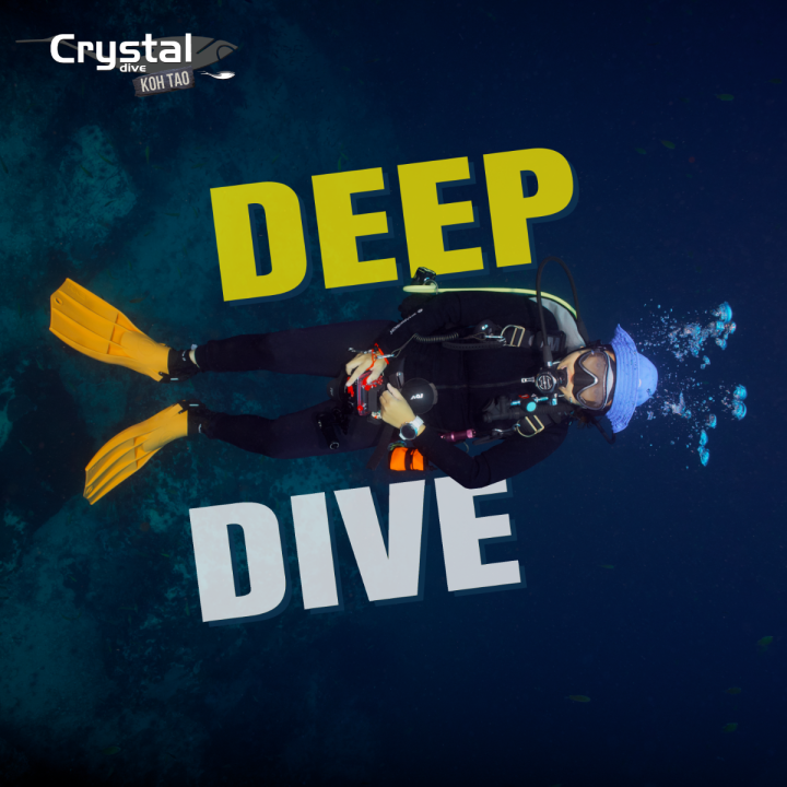 Unishell Dive Deep Deep Dive | Lazada.co.th
