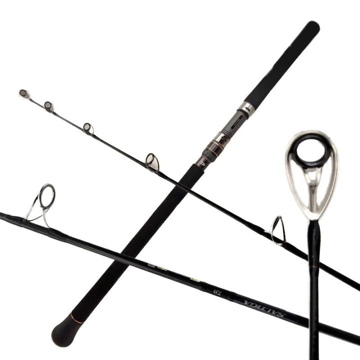 Daiwa 21 Saltiga C Spin Rod main image 0
