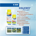 BASF Rampage แรมเพจ สารกำจัดแมลงศัตรูพืช ขนาด 500 มล.. 