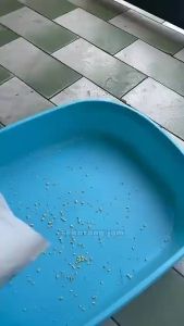 SOAR.OS Millet Tofu Cat Litter 6L/2KG Elevate your cats comfort to new heights