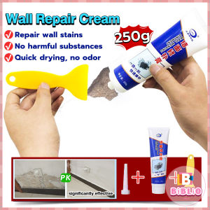 B.B. 250g Wall Repairing Ointment Universal Mending Paste Repair Cream Waterproof White