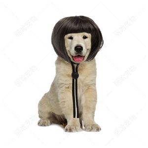 Pet bangs wig dog bob wig cat bob wig with exposed ears suitable for holiday parties and cosplay