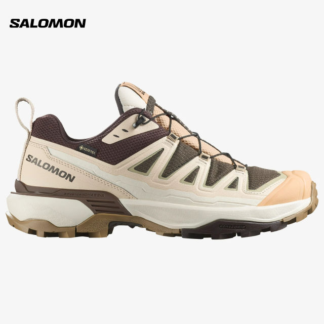 SALOMON SHOES X ULTRA 360 EDGE GTX W Dlciso/Tend Women Lazada