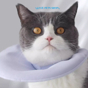 Vòng cổ chống liếm cho Chó Mèo mẫu cải tiến bằng mút xốp siêu nhẹ - Love Pets Shop
