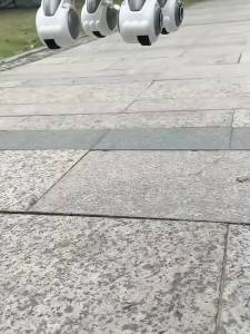 ai Intelligent Robot   High-Tech Mechanical Cat   Boys and Girls Electric Walking Talking Following Robot Toy   Childrens Educational Companion Toys   Birthday Gift for Boys and Girls   Childrens Holiday Gifts