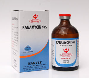 Viêm ruột ỉa chảy trên động vật KANAMYCIN 10% Viêm khớp viêm vú viêm đường hô hấp suyễn tụ huyết trùng trên gia súc và gia cầm. kana dùng cho lở loét mụn nhọt viêm có mủ...