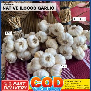 Ilocos Native Garlic Bawang Mabango grams Ilocos Garlic Big Size Native garlic of ilocos Ilocos Native Bawang Garlic