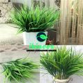 RUMPUT HIAS RUMPUT PLASTIK RUMPUT SINTETIS RUMPUT DEKORASI TANAMAN ARTIFICIAL TANAMAN ARTIFISIAL TANAMAN DEKORASI BUNGA PLASTIK MURAH. 