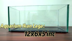 Aquarium Kaca Aquarium Kaca Tank Aquarium Kaca Ikan Laga