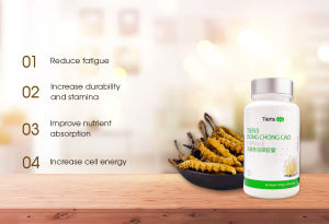 Dong Chong Cao Cordyceps Muncord Tiens Tianshi Supplement Multivitamin Imuniti 冬虫夏草 东革阿里