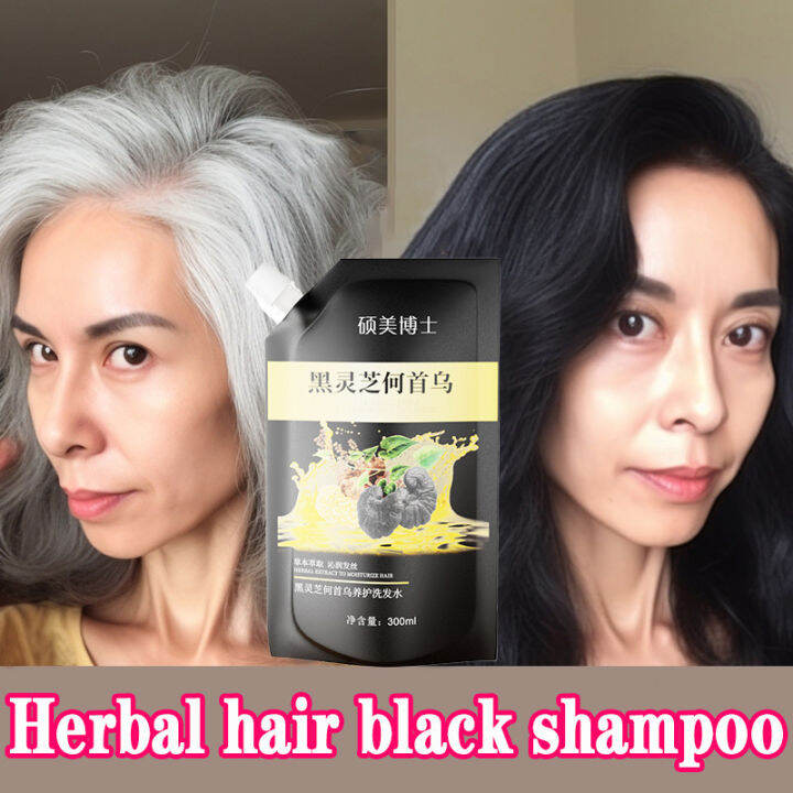 Dr.soromer Black Ganoderma Polygonum Multiflorum Ginseng Shampoo Black ...