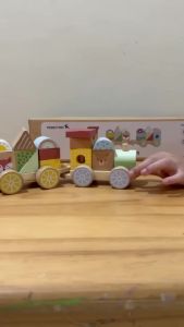 Tooky Toy Wooden Stacking Train Toy – Shape & Animal Blocks Learning Train by educrateph