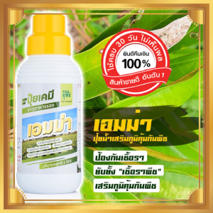 ปุ๋ยน้ำเอมม่า 1000 cc 1 ขวด ป้องกันการเกิดเชื้อราในพืช ปุ๋ยเคมีเอมม่า สูตรเข้มข้น เพิ่มความแข็งแรงให้กับพืช ใช้ได้กับพืชทุกชนิด