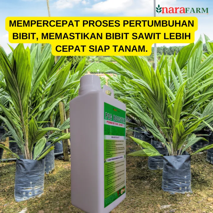Pupuk%20daun%20untuk%20bibit%20sawit,Pupuk%20semai%20bibit%20sawit,Pupuk%20bibit%20sawit,Pupuk%20cair%20untuk%20bibit%20sawit%20-%20Image%206